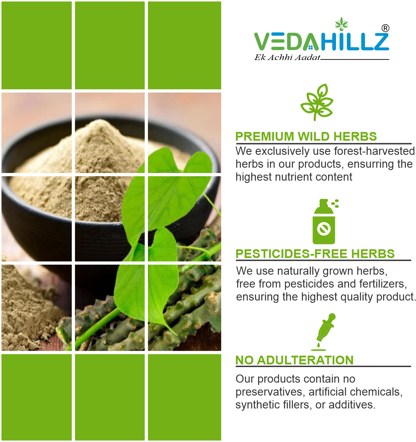 Vedahillz Giloy Powder for Natural Immunity Boost Made from Premium Giloy Stems